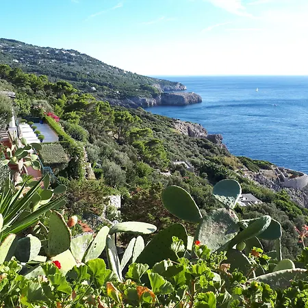 Casa Orrico - Blue Grotto - Anacapri-2